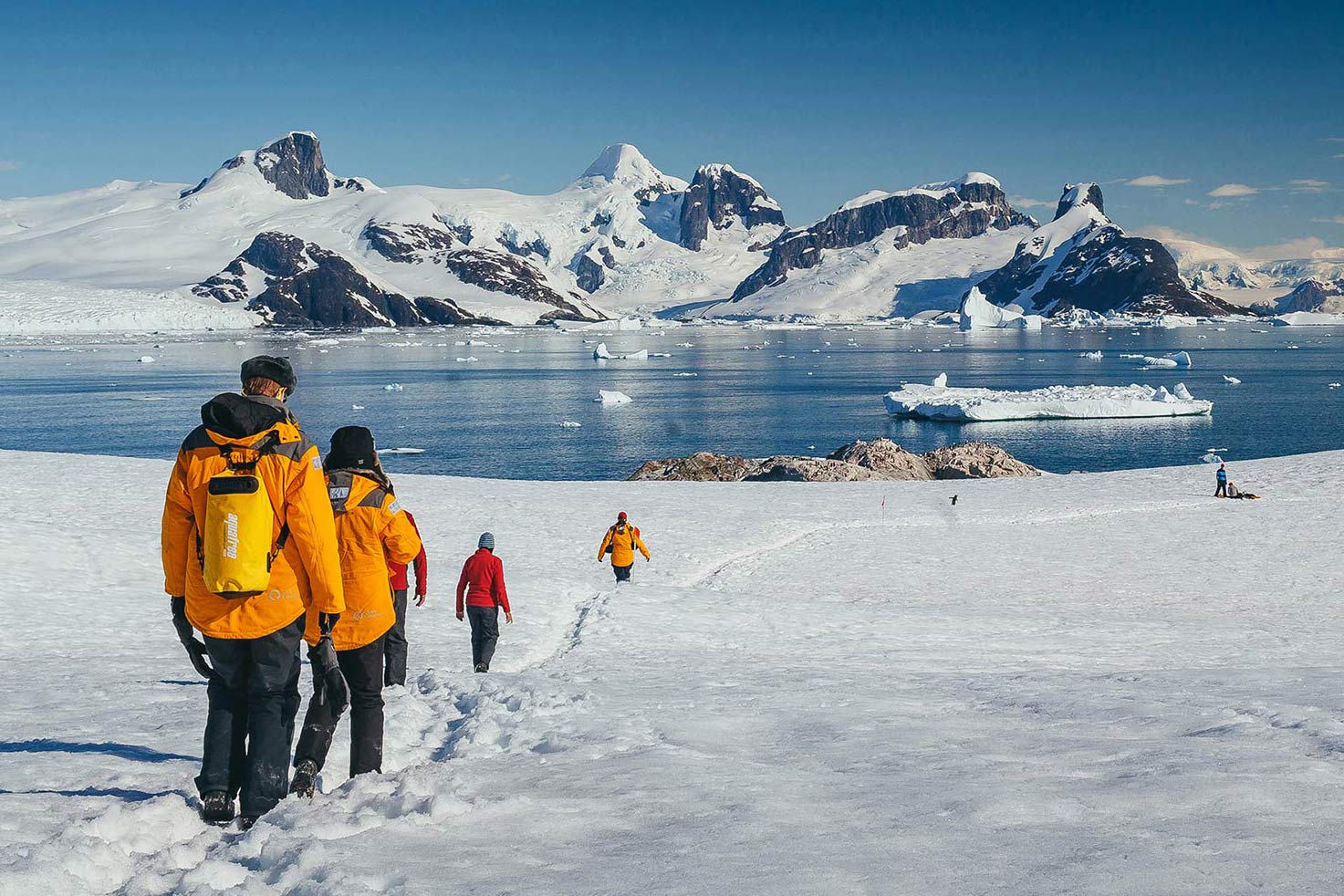 Quark Expeditions: Arctic Adventure Offer